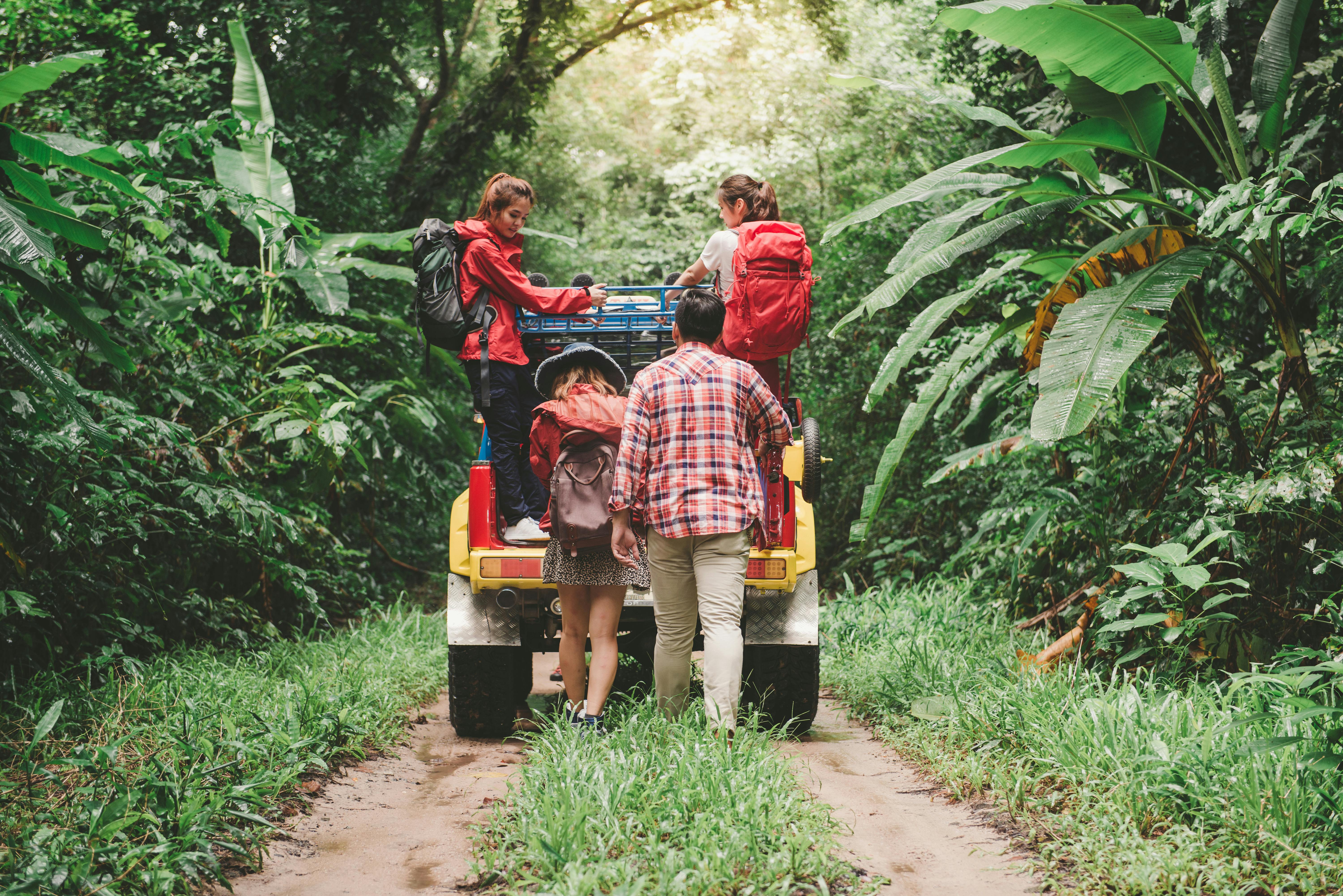 jungle safari