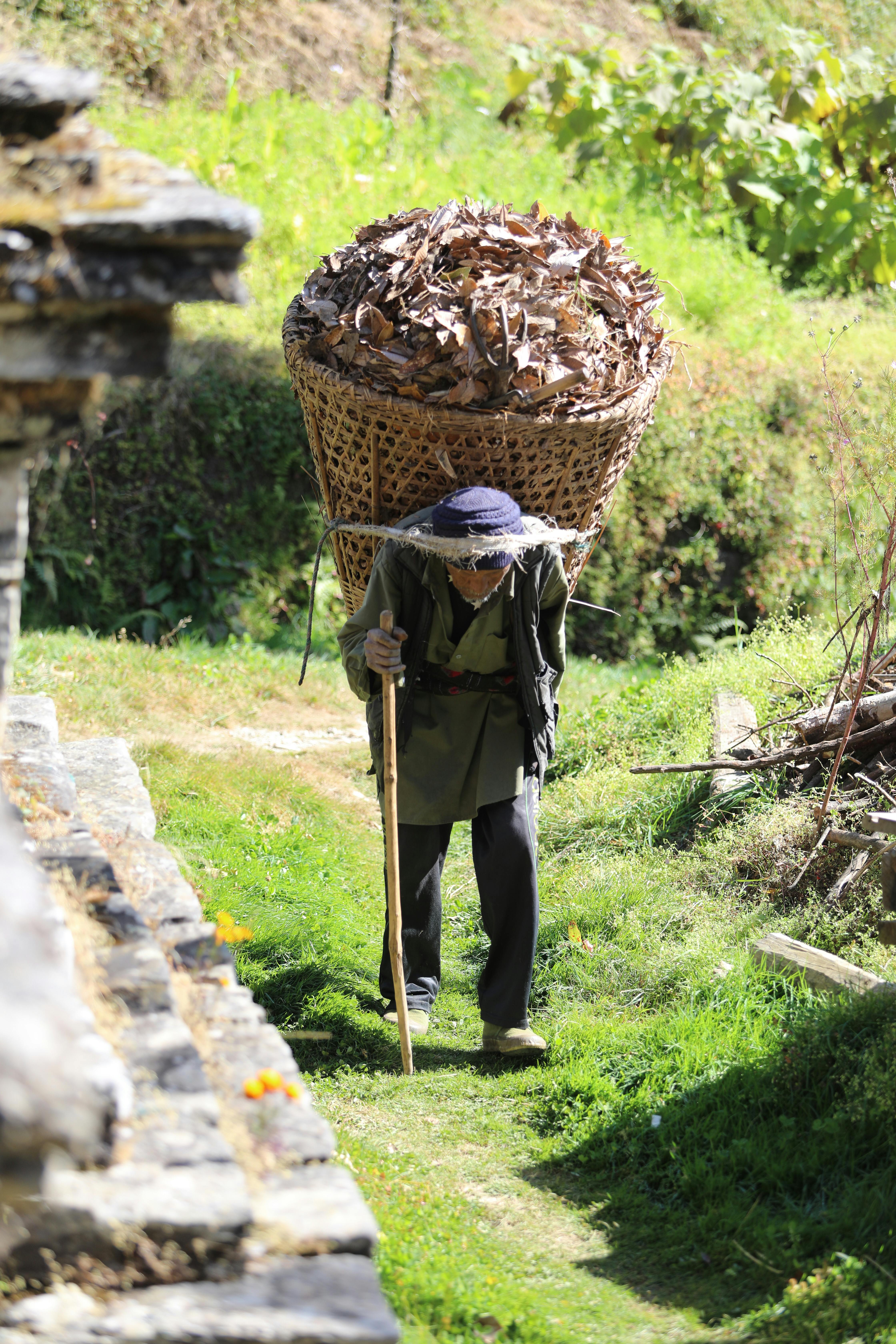 old man carrying bamboo basket in the mountains